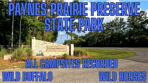 Paynes Prairie Preserve State Park in Gainesville Florida full tour and ...