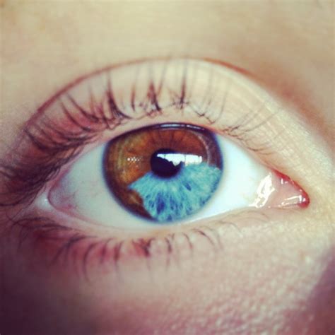 1000+ images about Heterochromia eyes on Pinterest | Different colored ...