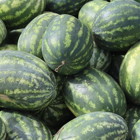 58th Annual Farmerville Watermelon Festival Returns Saturday ...