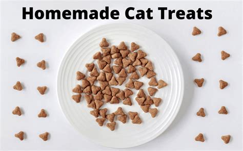 Homemade Cat Treats - Cat Sitter Toronto Inc.