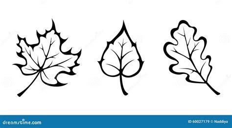 Black Leaves Icon Set Isolated On White Background. Eco Leaves. Eco ...