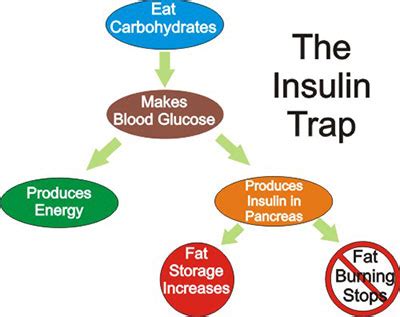 The Body’s Most Powerful Fat Storage Hormone | Chest Sculpting