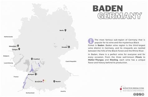 Your 2023 guide to Baden wine region | Winetourism.com