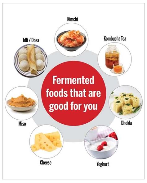 All you need to know about fermented foods | Femina.in