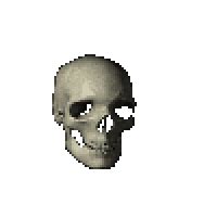 Skull Stickers - Find & Share on GIPHY