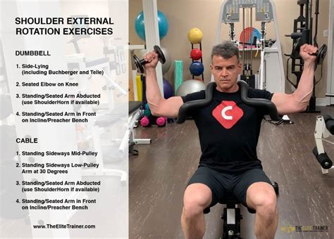 Periodization of Shoulder External Rotation - The Elite Trainer