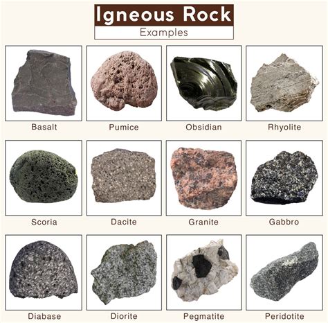 Names Of Sedimentary Rocks