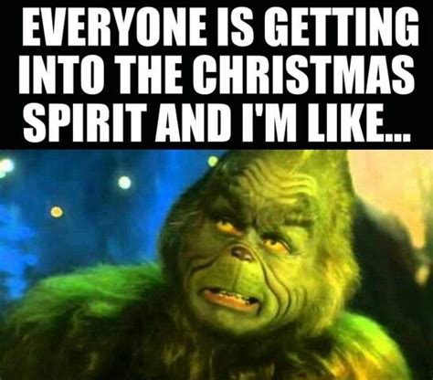 Funny Grinch Memes for Christmas - Lola Lambchops