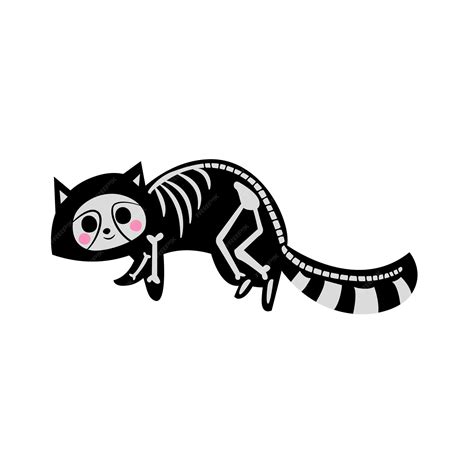 Premium Vector | Cute raccoon skeleton vector