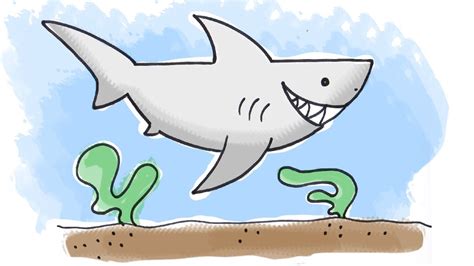 How to draw a cartoon Shark - YouTube