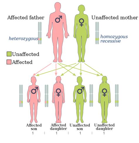 I Have a BRCA Mutation: What’s Next? - Patient's Lounge