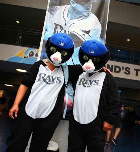 July 21, 2018 Tampa Bay Rays - DJ Kitty Mascot Head - Stadium Giveaway ...