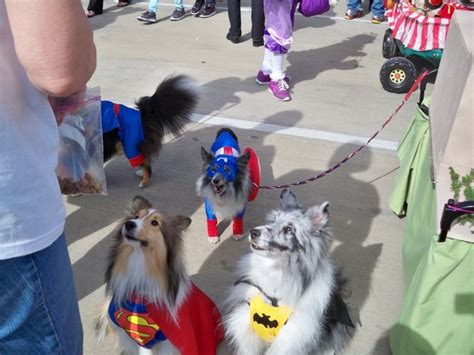 Krewe Barkus 2013 | Animals, Krewe, Dogs