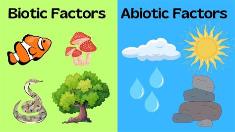 Biotic Factors Pictures