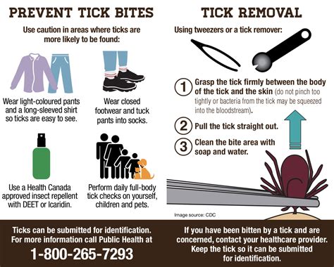 How To Prevent Getting A Tick Bite - HOWOTREMVO