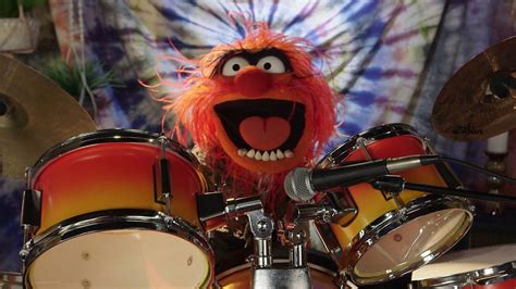 Dr. Teeth and The Electric Mayhem are Going to Outside Lands 2016 | The ...