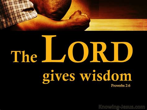 Proverbs 2:6 The Lord Gives Wisdom (black)