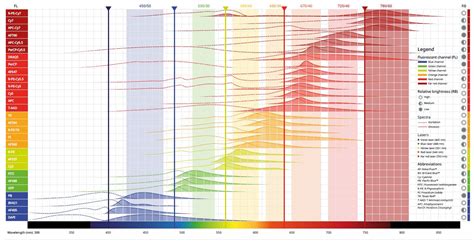 flow cytometry fluorophore chart Flow cytometry fluorochrome chart