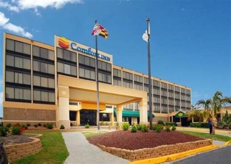 Comfort Inn Gold Coast (Ocean City, MD) - Hotel Reviews - TripAdvisor