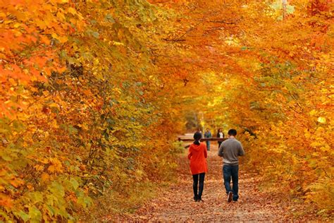 Vermont in the Fall - 10 Amazing Places to Admire colors!