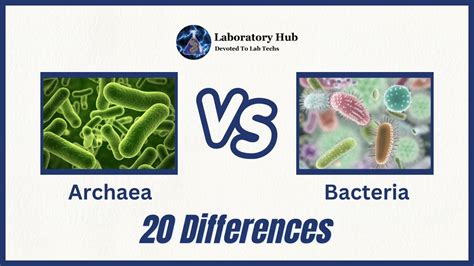 Archaea vs Bacteria- 20 Differences