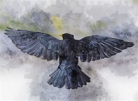 Portrait of a Flying Crow Bird, Watercolor Painting Stock Illustration ...