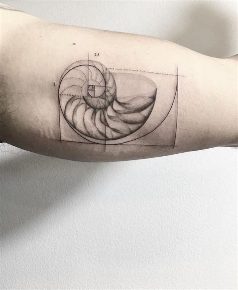 Pinterest | Fibonacci tattoo, Golden spiral tattoo, Golden ratio tattoo