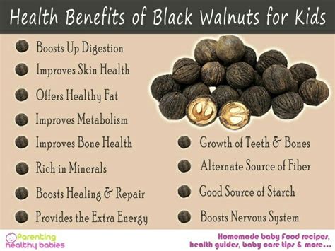 11 Health Benefits of Black Walnut for your Baby! https://goo.gl/upBxXN ...