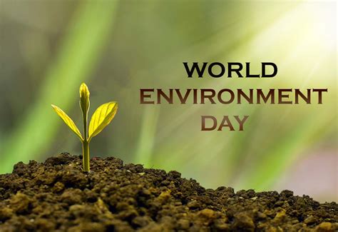 World Environment Day 2024: Images, Posters, Quotes and Slogans