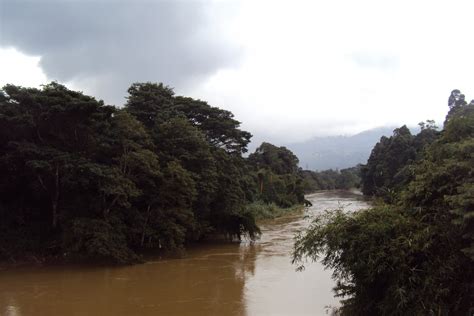 River Mahaweli Free Stock Photo - Public Domain Pictures