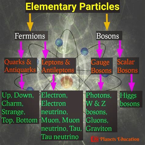 Types of Elementary Particles | Elementary particle, Theoretical ...