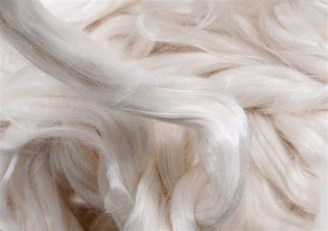 Can Tencel Fiber become the Gamechanger? | sustainability marketing blog