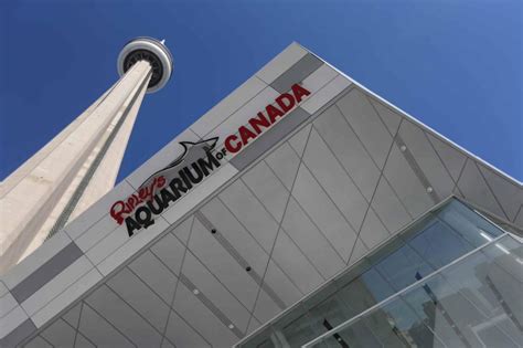 Cn Tower Tickets And Aquarium Package - Aquarium Views