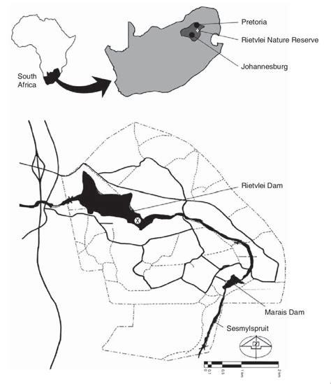 The location of the Rietvlei Dam inside the Rietvlei Nature Reserve. X ...