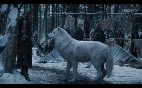 Jon Snow's direwolf, Ghost ♥. Game of thrones ghost, Game HD wallpaper ...