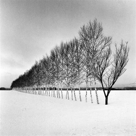 Hokkaido Winter | International Photo Awards