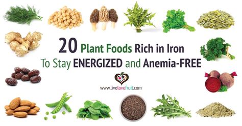 20 Plant-Based Foods Rich in Iron To Stay Energized and Anemia-Free