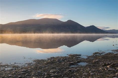 Where and when to spot ospreys in the Lake District | Sally's Cottages