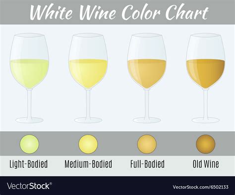 White wine color chart Royalty Free Vector Image