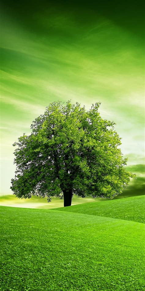 79 Green Landscape Wallpaper Hd Pics - MyWeb