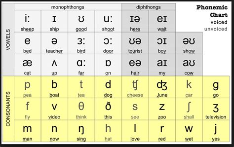 Pronunciation - the basics - Academic English UK