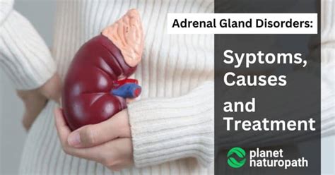 Adrenal Gland Disorders: Symptoms, Causes, And Treatment