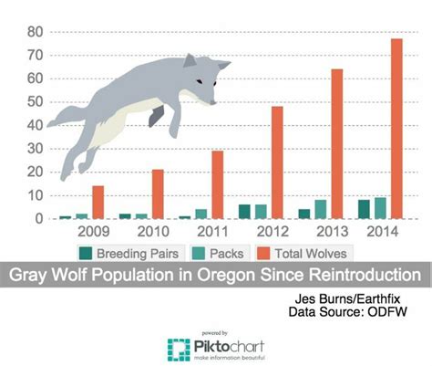 Recovery Options and Outlook | Oregon Wolf Protection