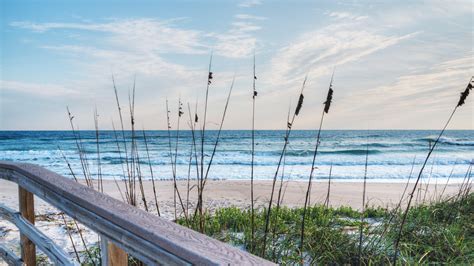 florida beach, grass, sand dunes, beach, sky, 4K, florida, sandy, usa ...