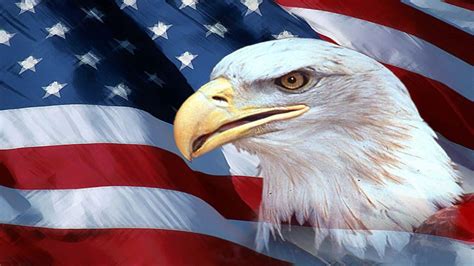 American Eagle Flag Wallpapers - Top Free American Eagle Flag ...