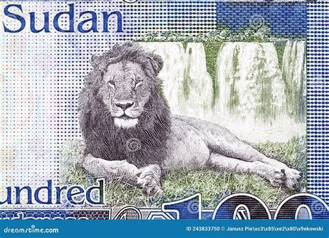 Lion and Waterfall from South Sudanese Pound Stock Photo - Image of ...