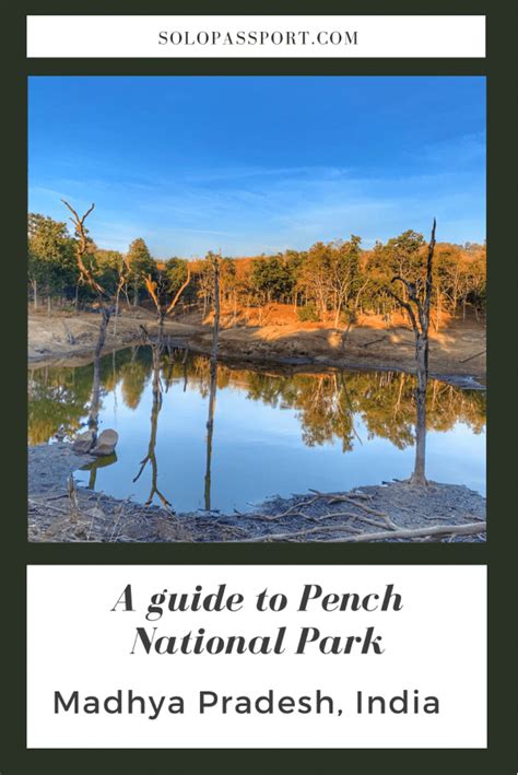 A guide to Pench National Park - Solopassport (Raksha Nagaraj)