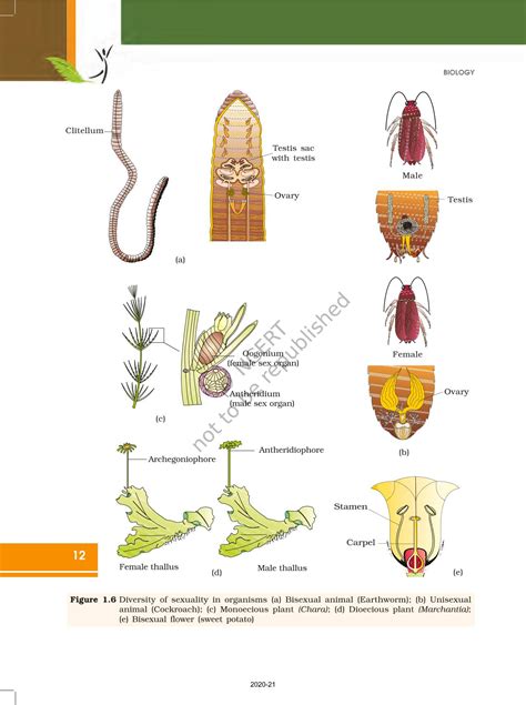 Reproduction In Organisms - NCERT Book of Class 12 Biology