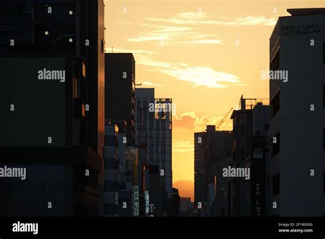 Evening and the building of the silhouette Stock Photo - Alamy