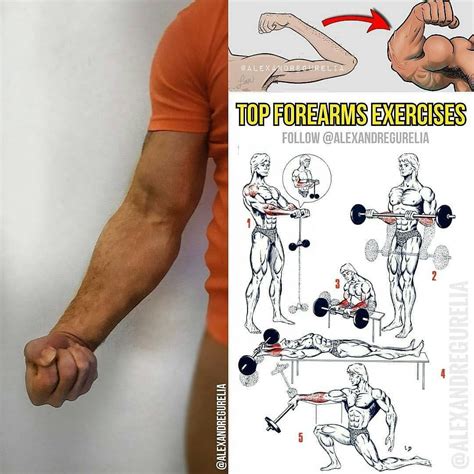 Do the forearms exercises as shown in the picture for the most ...